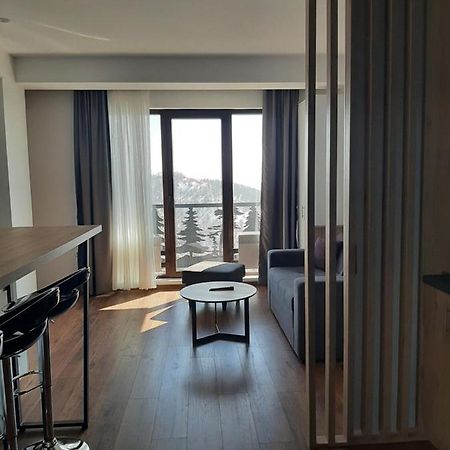Vihor A21 Apartman Kopaonik Kültér fotó