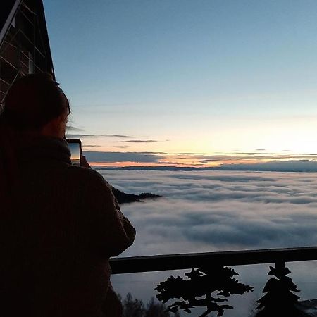 Vihor A21 Apartman Kopaonik Kültér fotó