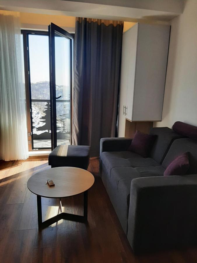 Vihor A21 Apartman Kopaonik Kültér fotó