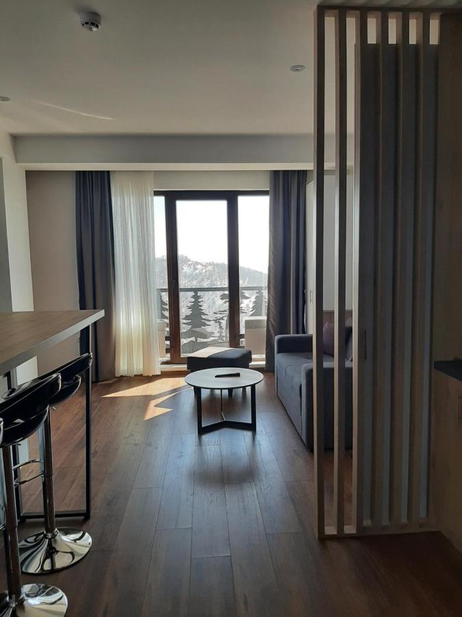 Vihor A21 Apartman Kopaonik Kültér fotó