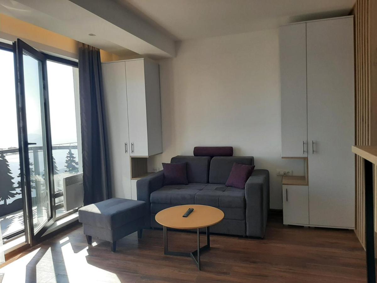 Vihor A21 Apartman Kopaonik Kültér fotó