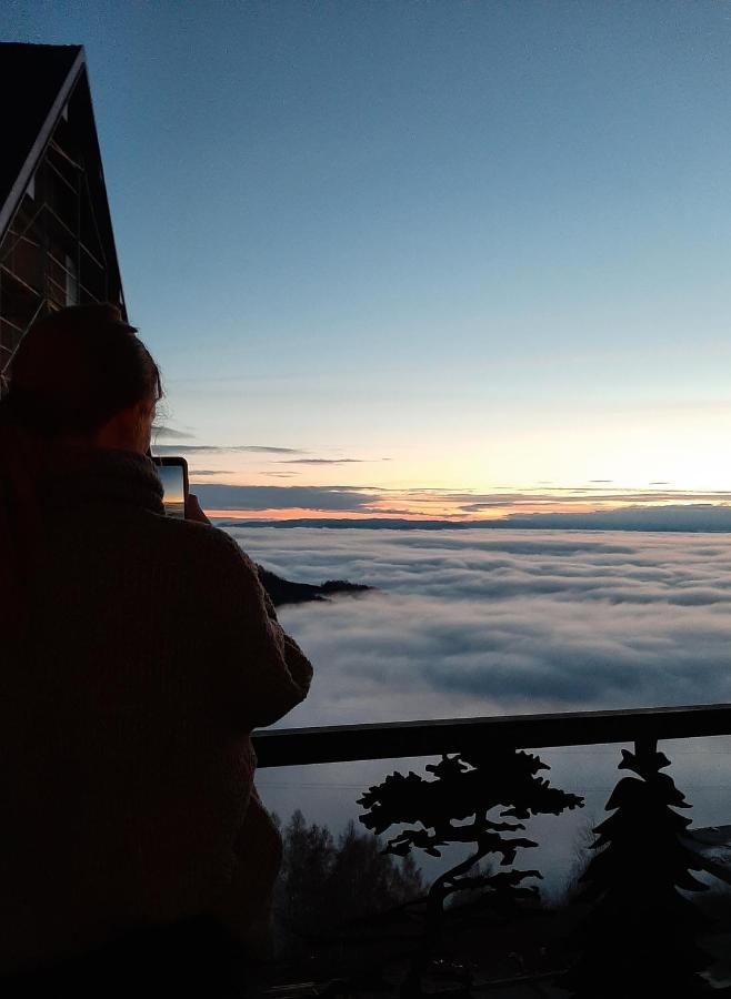 Vihor A21 Apartman Kopaonik Kültér fotó